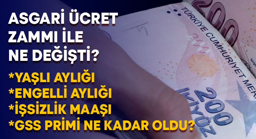 Asgari ücret zammı ile yaşlı aylığı, engelli aylığı, işsizlik maaşı ve GSS primi ne kadar  oldu?