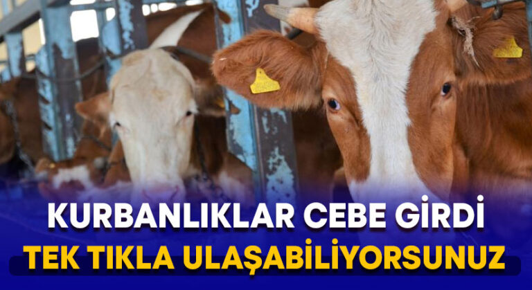 Kurbanlıklar cebe girdi