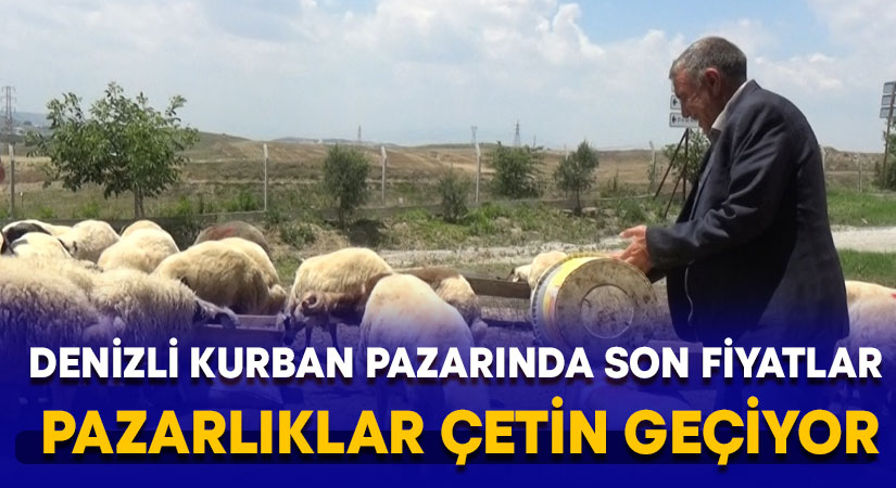 Denizli kurban pazarında son fiyatlar.. Pazarlıklar çetin geçiyor