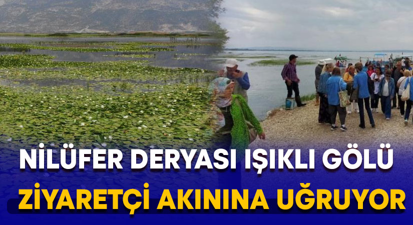 Nilüfer deryası Işıklı Gölü ziyaretçi akınına uğruyor