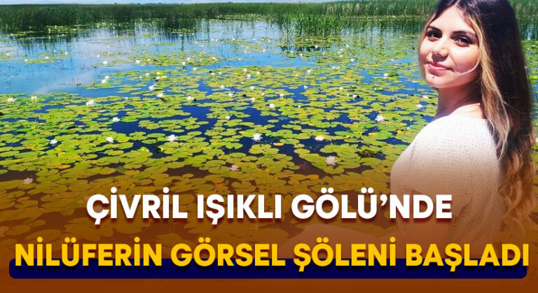 Nilüferin görsel şöleni başladı