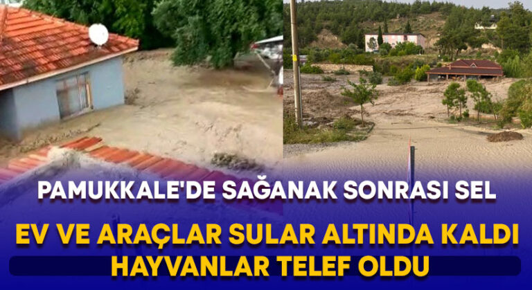 Pamukkale’de sağanak sonrası sel: Ev ve araçlar sular altında kaldı, hayvanlar öldü