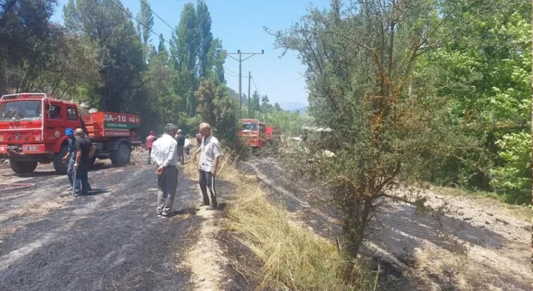 Anız yangını ormana sıçramadan söndürüldü