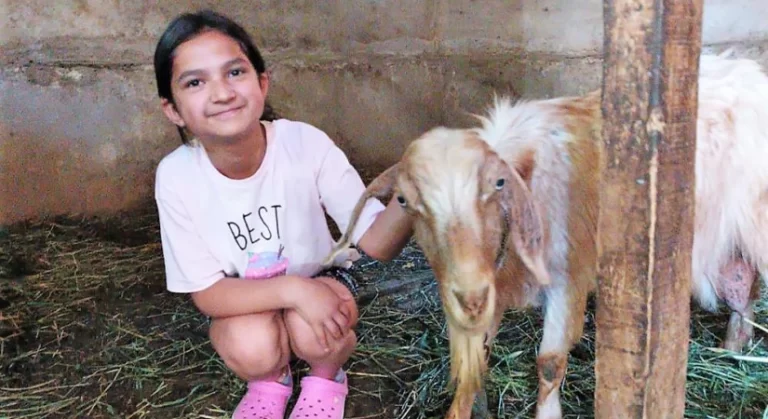 Kaçan kurbanlık keçi, 5 gün sonra boş bir evde bulundu