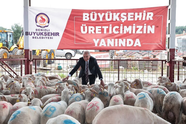 650 bin hayvan için 140 bin mineral taşı dağıtıldı